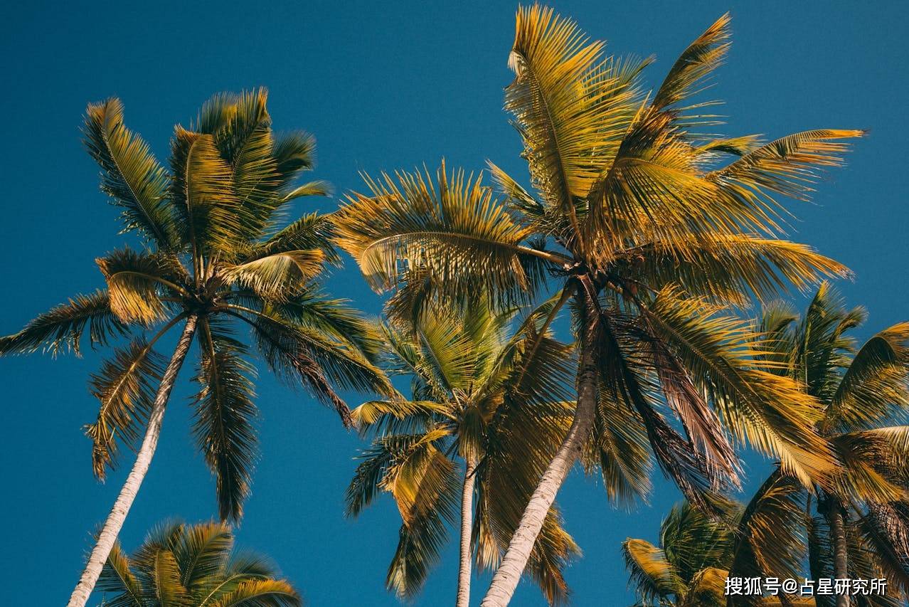 【Luc吕克】2025年6月占星播报